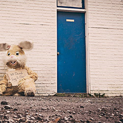 在线呼叫网页版软件